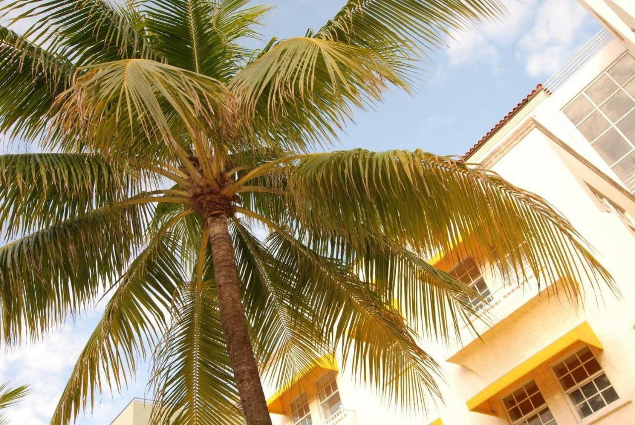 2 Bedroom Ocean Drive Newly Renovated Маями Бийч Екстериор снимка